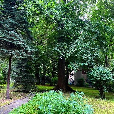 Apartment With Garden In Old Town Kraków Exteriör bild