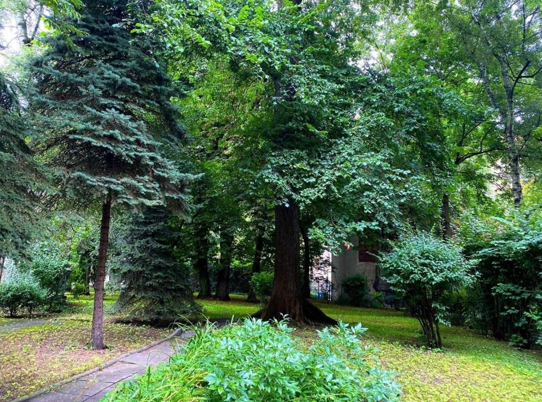 Apartment With Garden In Old Town Kraków Exteriör bild